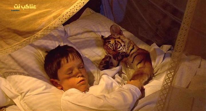 فيلم Two Brothers 2004 مترجم