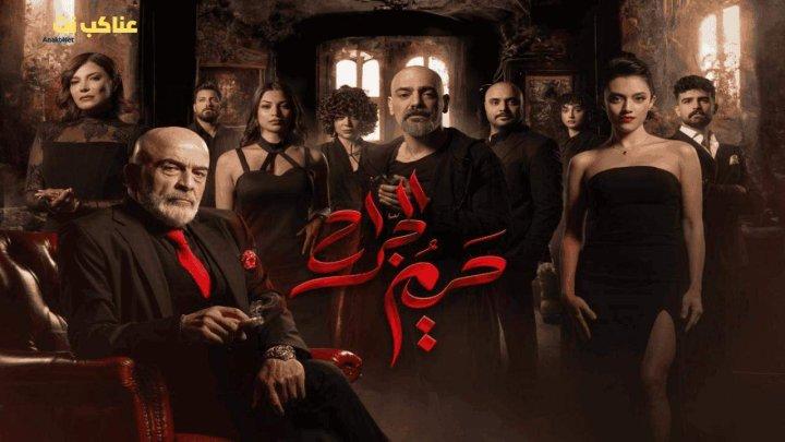 مسلسل حريم الجراح الحلقة 13 الثالثة عشرة